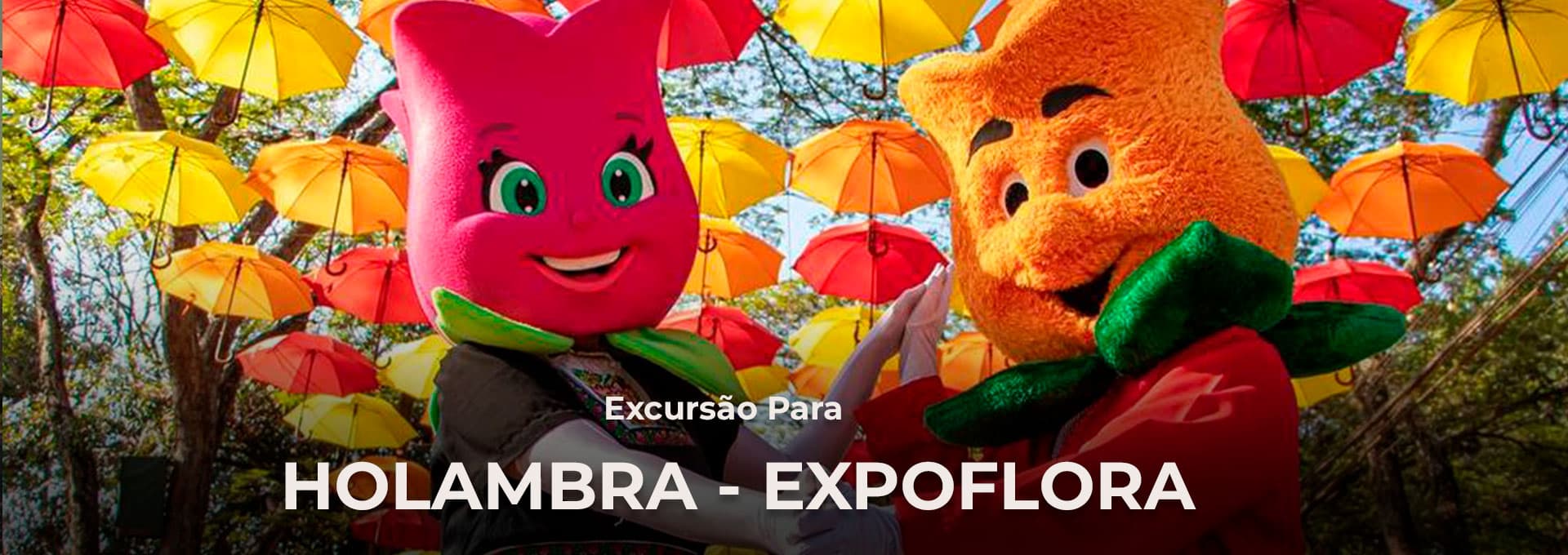 Holambra Expoflora 2026